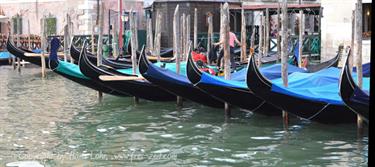 We explore Venice, DSE_8761_c_B740